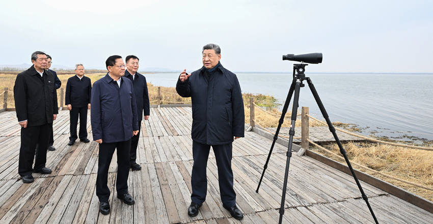 微信图片_20261019094506_119_46.jpg
